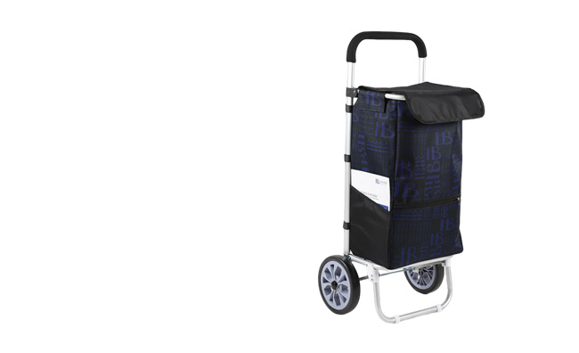 SHOPPING CARTS